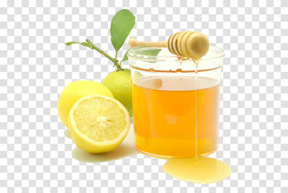Lemon, Plant, Food, Citrus Fruit, Beverage Transparent Png