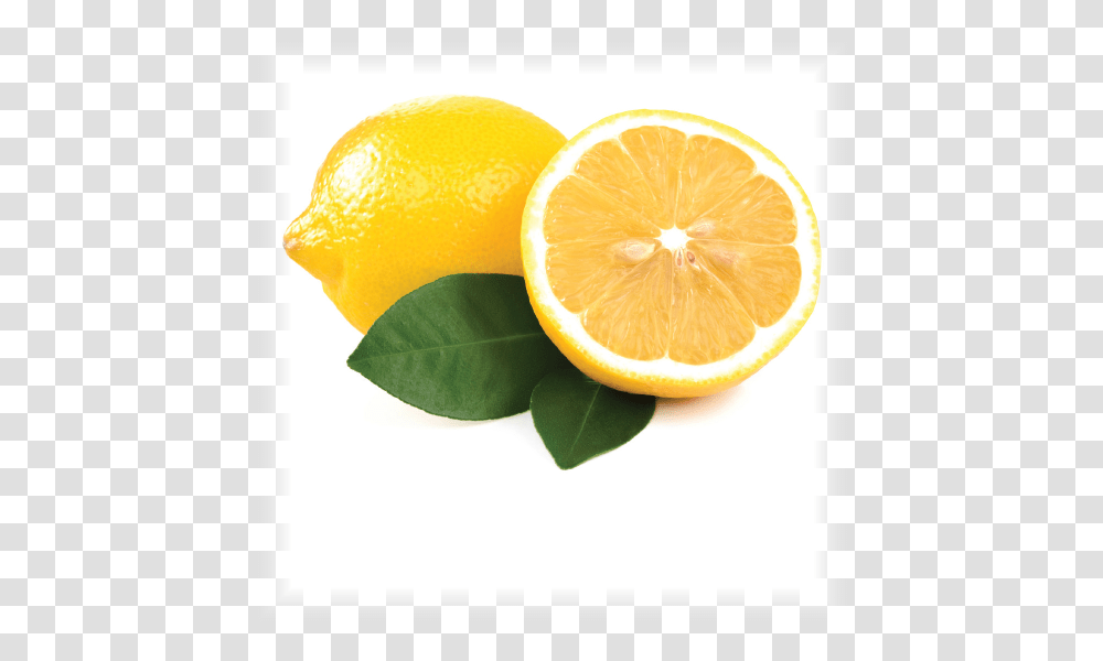 Lemon Products Orange, Citrus Fruit, Plant, Food, Lime Transparent Png