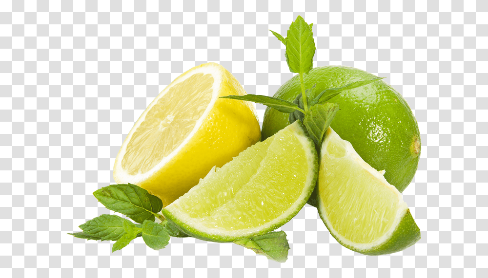 Lemon Slice Citron Vert Et Jaune, Citrus Fruit, Plant, Food, Lime Transparent Png