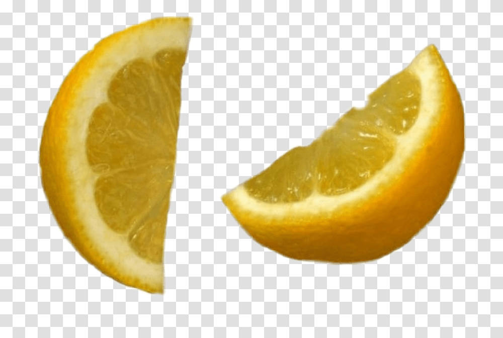 Lemon Slice, Citrus Fruit, Plant, Food, Lime Transparent Png