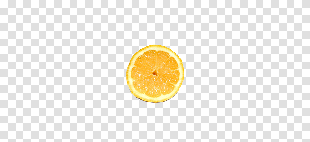 Lemon Slice, Citrus Fruit, Plant, Food, Orange Transparent Png