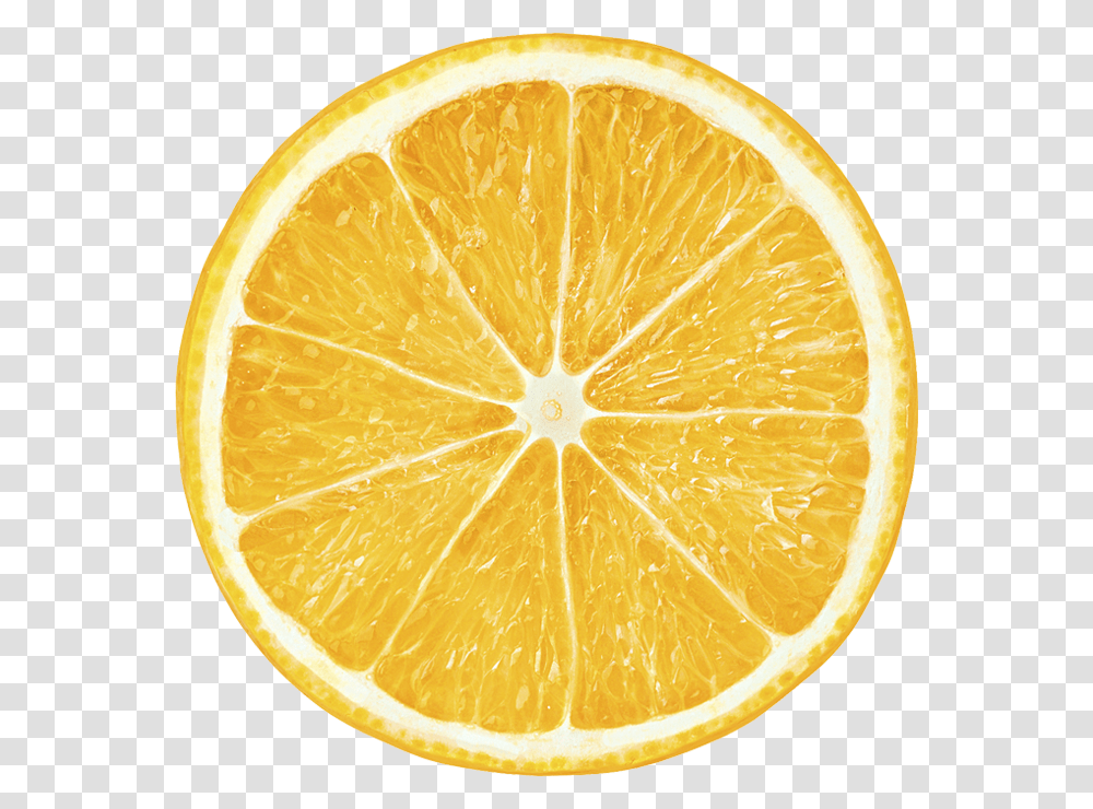 Lemon Slice Citrus Kartinki, Orange, Citrus Fruit, Plant, Food Transparent Png