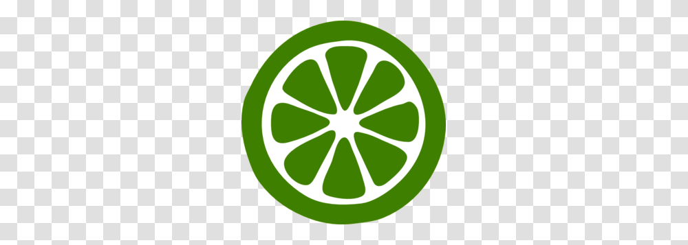 Lemon Slice, Tennis Ball, Sport, Sports, Plant Transparent Png