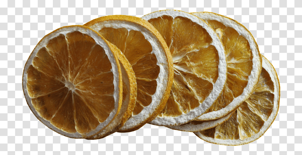 Lemon Slice Vector Lemon, Citrus Fruit, Plant, Food, Grapefruit Transparent Png