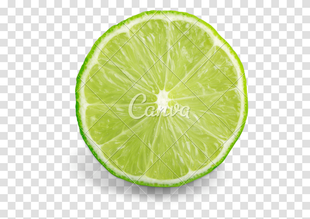 Lemon Slices Clipart Persian Lime, Tennis Ball, Sport, Sports, Citrus Fruit Transparent Png