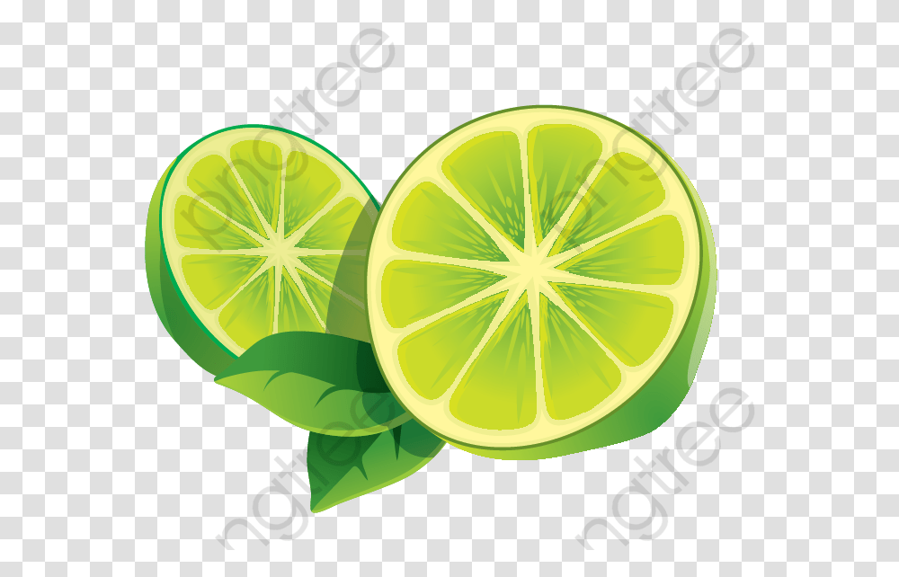 Lemon Slices Lemon Icon, Lime, Citrus Fruit, Plant, Food Transparent Png