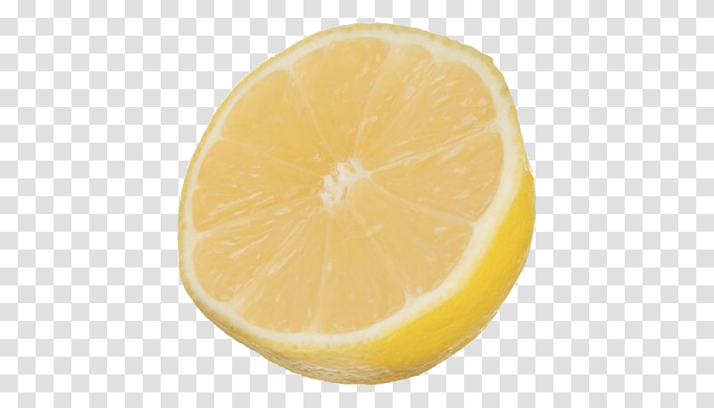 Lemon Tags Sweet Lemon, Citrus Fruit, Plant, Food Transparent Png