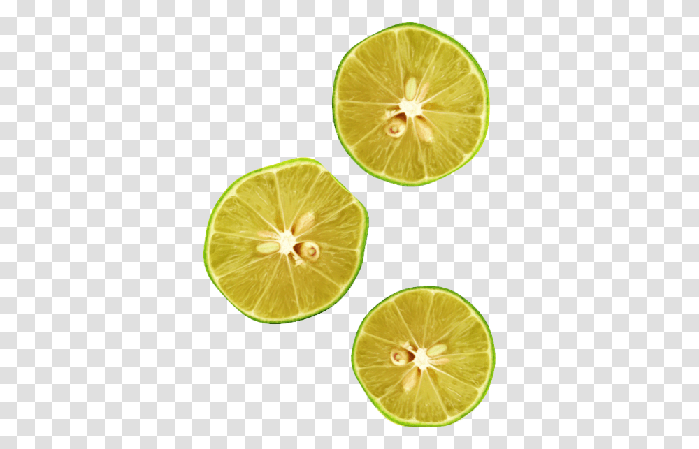 Lemon Top View & Clipart Free Download Ywd Fruit Top View, Lime, Citrus Fruit, Plant, Food Transparent Png