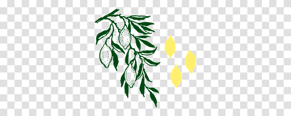 Lemon Tree Food, Plant, Leaf, Flower Transparent Png