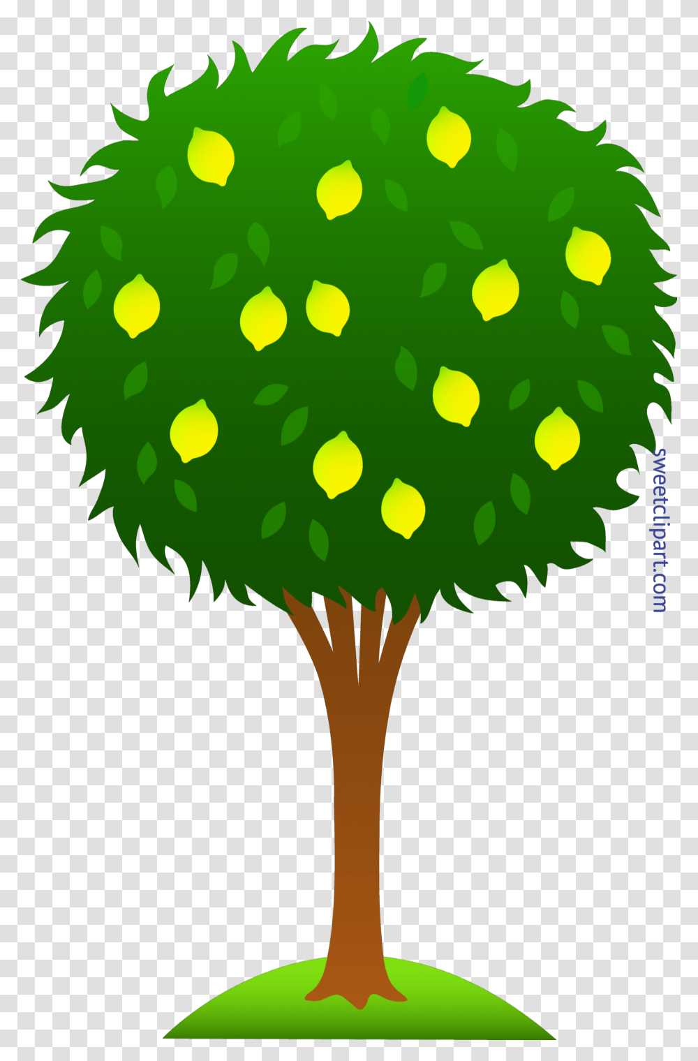 Lemon Tree Clip Art, Green, Plant, Photography Transparent Png