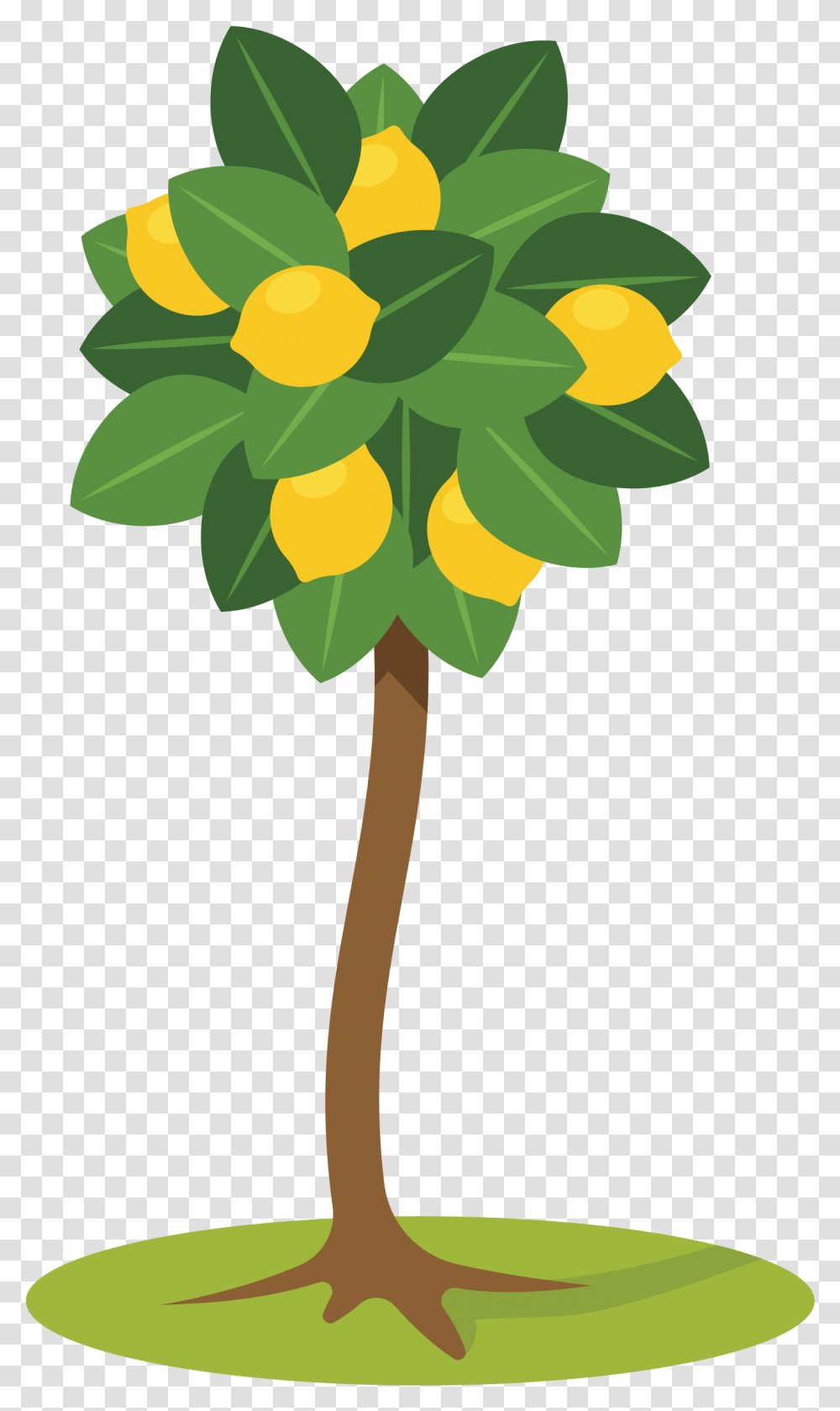 Lemon Tree Clipart Lemon Tree Tree Clipart, Plant, Flower, Blossom, Graphics Transparent Png