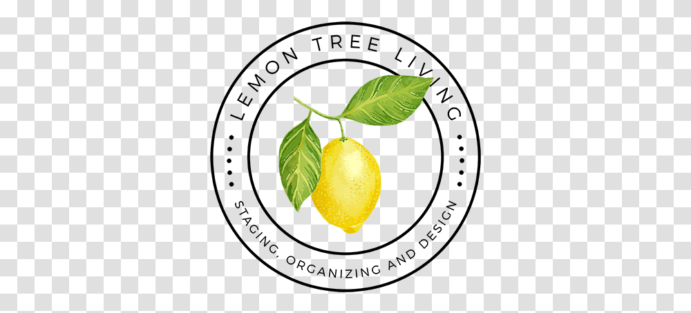 Lemon Tree Living Sweet Lemon, Plant, Food, Fruit, Citrus Fruit Transparent Png