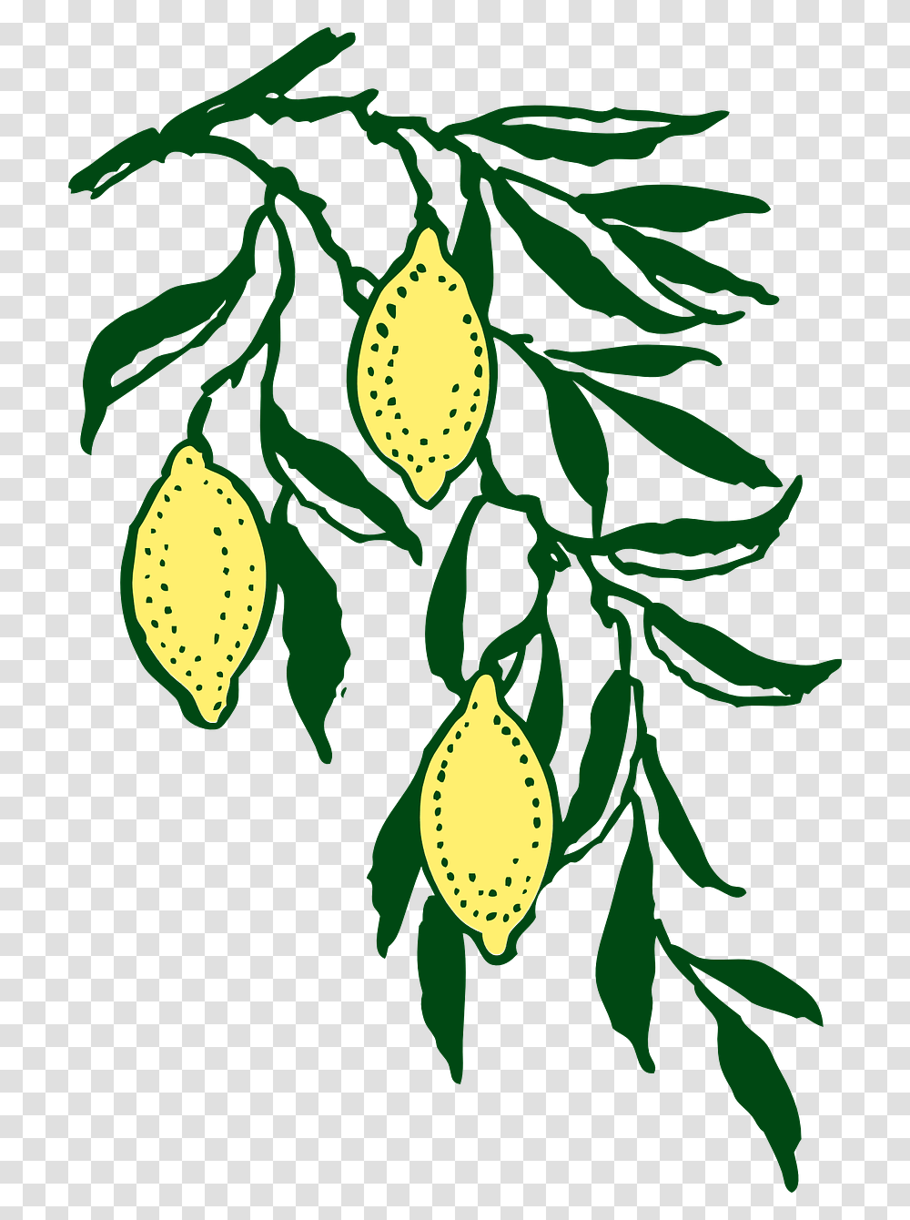 Lemon Tree Silhouette, Plant, Leaf, Seed, Grain Transparent Png