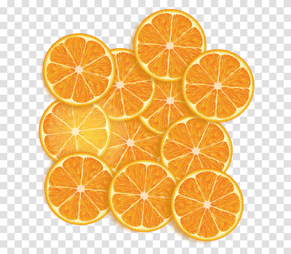 Lemon Vector Pattern Orange Fruit Background, Sliced, Citrus Fruit, Plant, Food Transparent Png