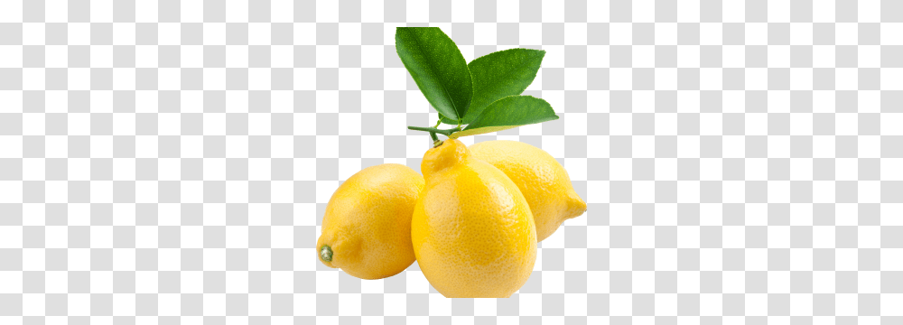Lemon Web Icons, Plant, Citrus Fruit, Food Transparent Png