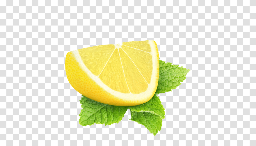 Lemon Wedges, Plant, Citrus Fruit, Food, Potted Plant Transparent Png