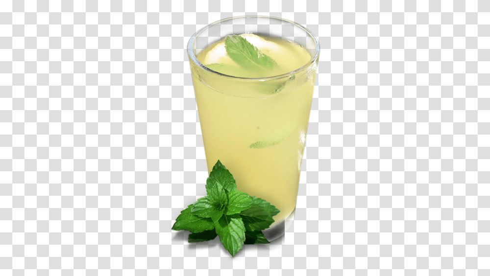 Lemonade, Drink, Beverage, Milk, Plant Transparent Png