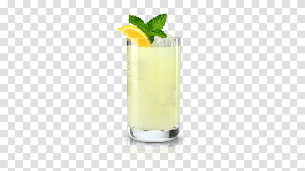 Lemonade, Drink, Beverage, Potted Plant, Vase Transparent Png