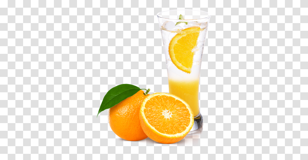 Lemonade, Drink, Citrus Fruit, Plant, Food Transparent Png