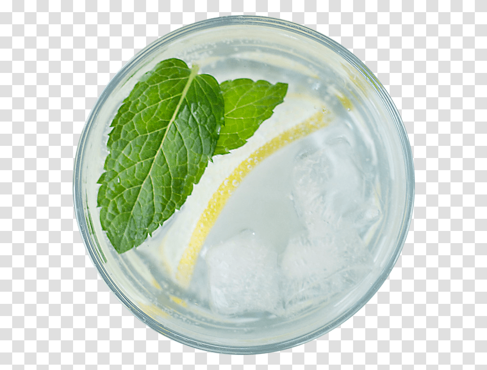 Lemonade Photo, Beverage, Drink, Cocktail, Alcohol Transparent Png