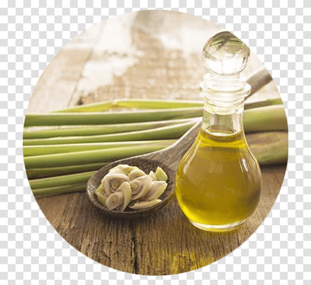Lemongrass And Garlic As Mosquito Repellent, Bottle, Plant, Bowl, Food Transparent Png