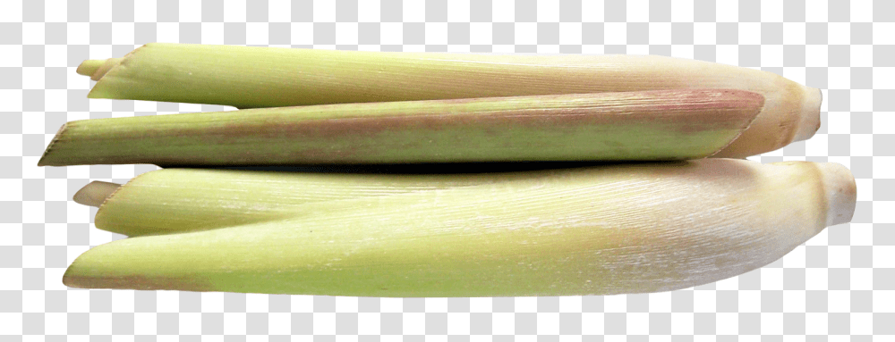 Lemongrass Image, Vegetable, Plant, Produce, Food Transparent Png