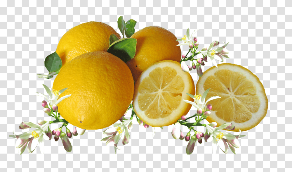 Lemons 960, Fruit, Citrus Fruit, Plant, Food Transparent Png