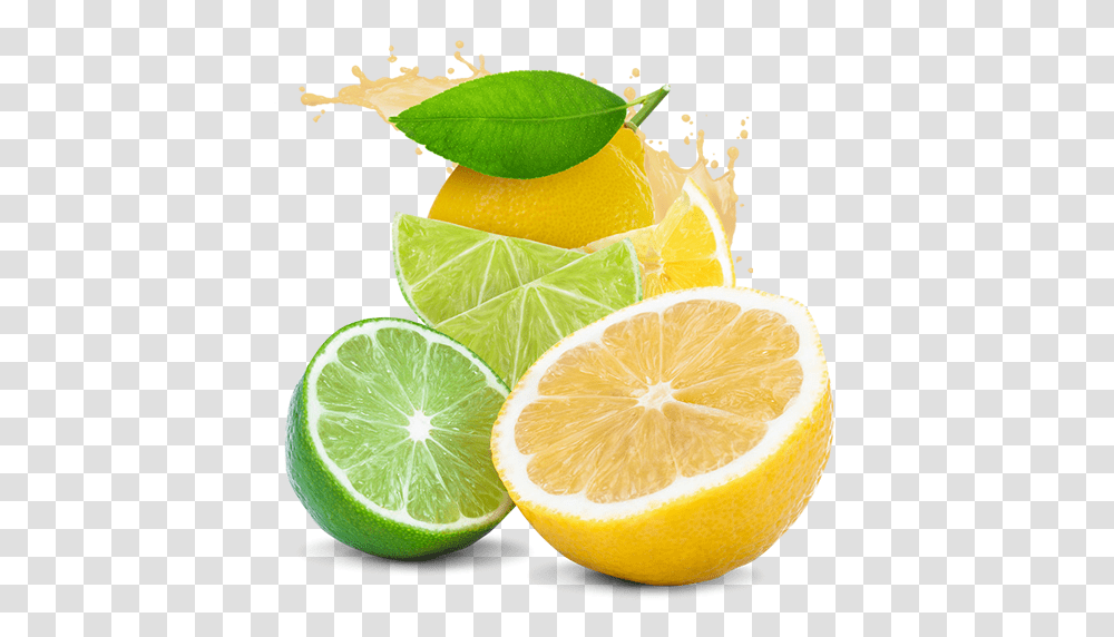 Lemons And Limes Chopped And Ready, Citrus Fruit, Plant, Food, Orange Transparent Png
