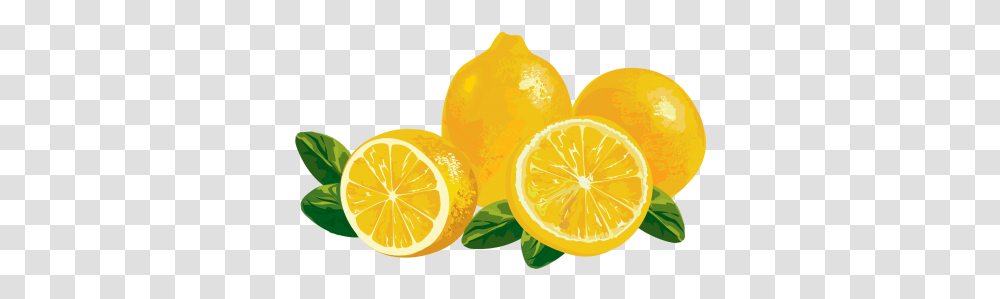 Lemons Background Vector Lemon, Citrus Fruit, Plant, Food, Beverage Transparent Png