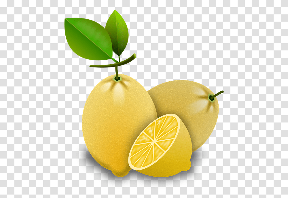 Lemons Citrus Fruits Jeruk Lemon Vektor, Plant, Food, Pear, Grapes Transparent Png