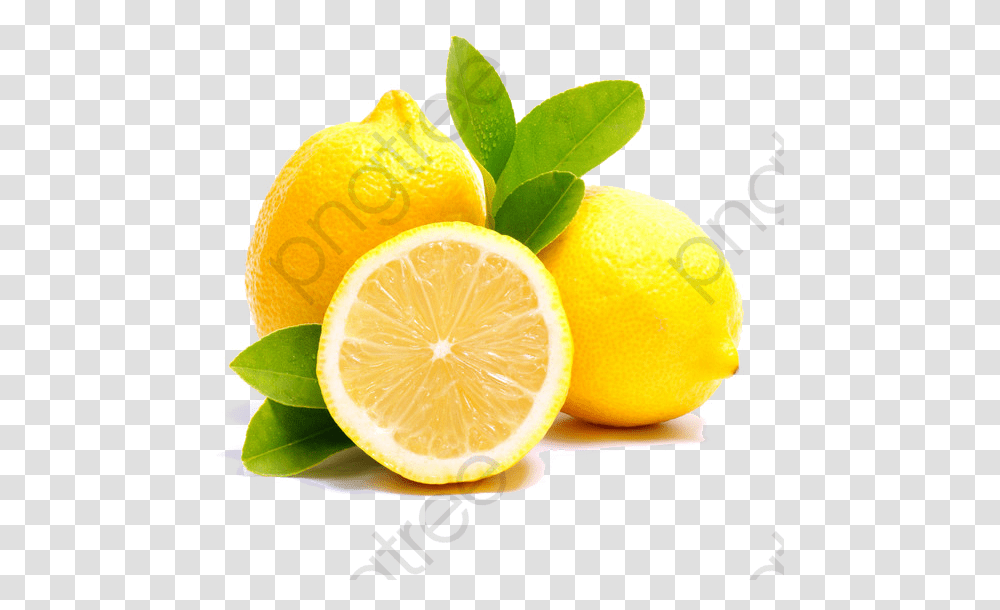 Lemons Clipart Lemon Sicily, Plant, Citrus Fruit, Food, Orange Transparent Png