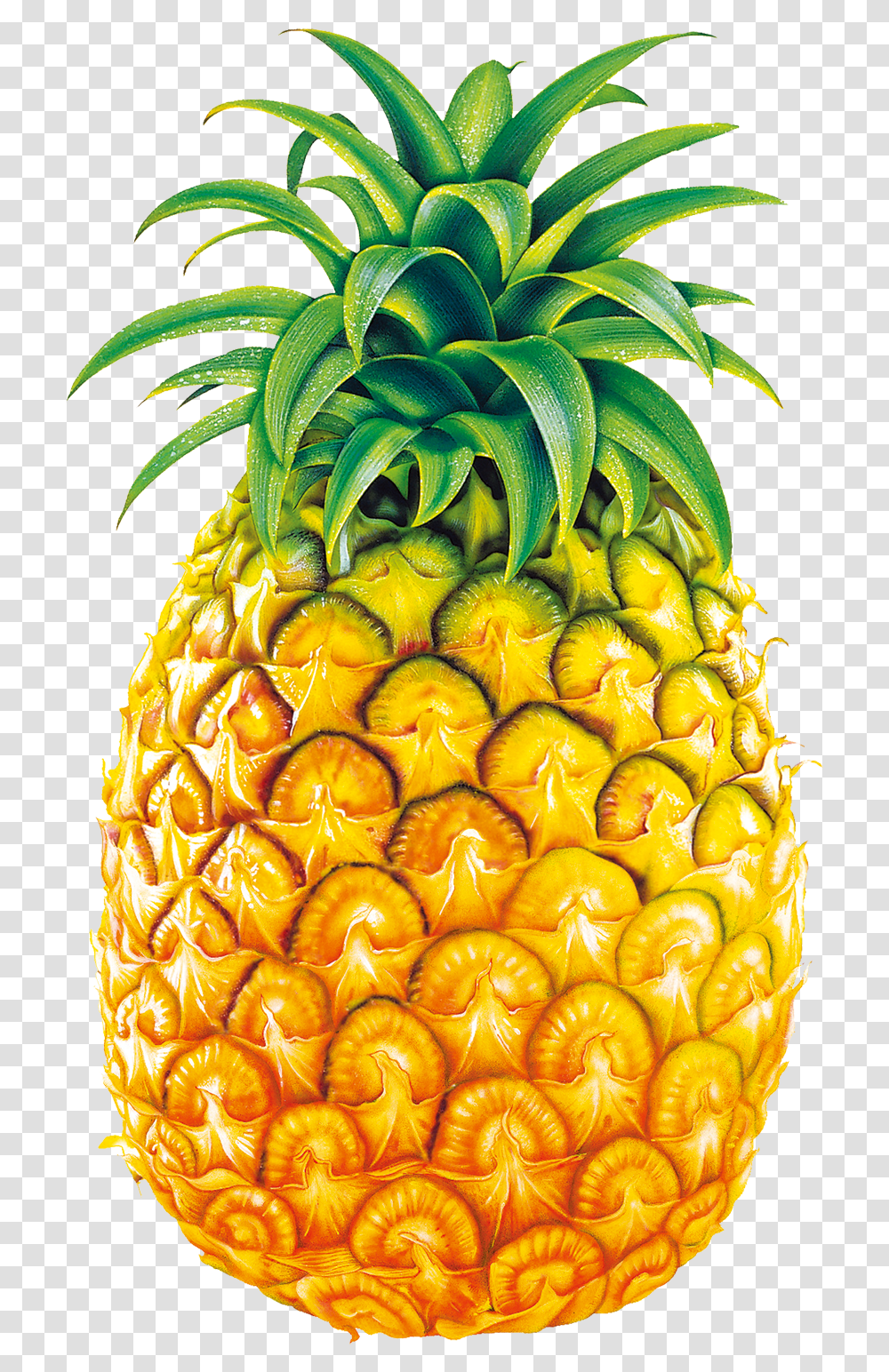 Lemons Clipart Pineapple Free Pineapple Fruits Clipart, Plant, Food Transparent Png