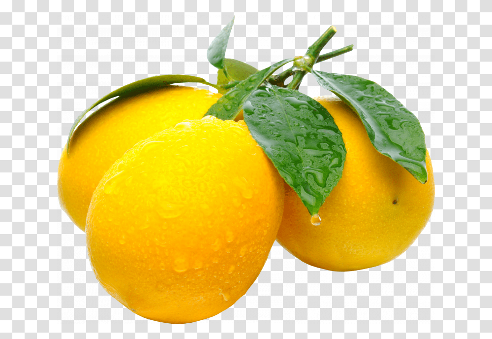 Lemons, Plant, Citrus Fruit, Food, Orange Transparent Png