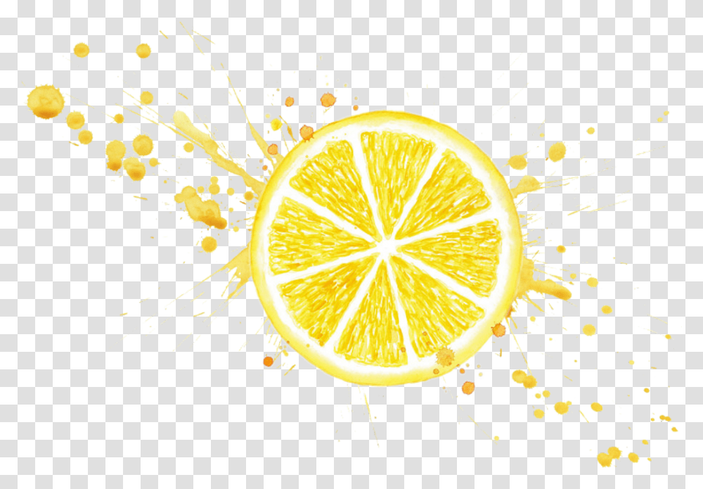 Lemonslice Lemon Lemonade Lemons Yellow Citrus Splatter Gold Splash, Plant, Citrus Fruit, Food Transparent Png