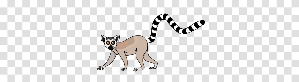 Lemur, Animals, Mammal, Kangaroo, Wallaby Transparent Png
