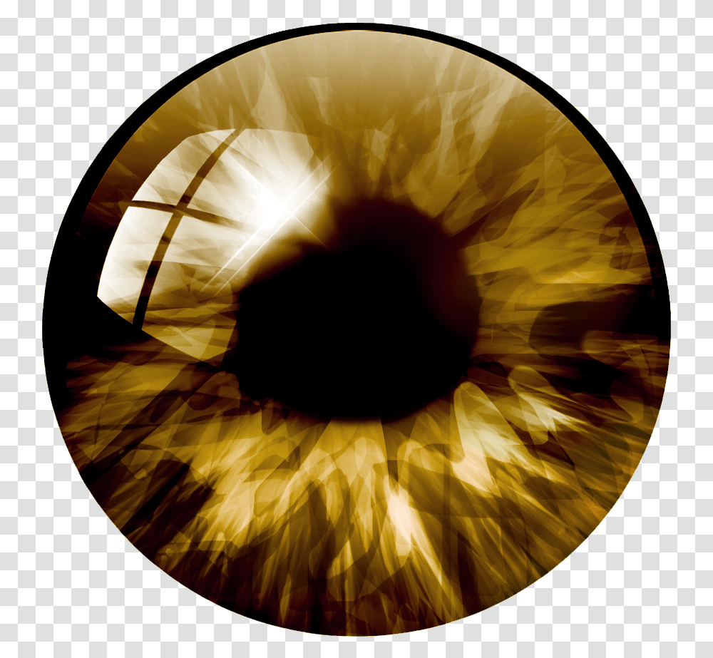 Lens Eye Color, Pattern, Person, Human, Photography Transparent Png
