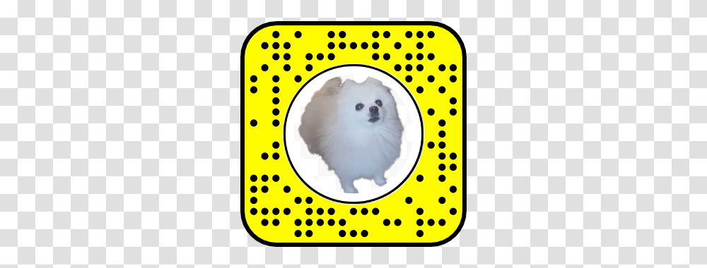 Lenslist Snapcodes, Texture, Mammal, Animal, Pet Transparent Png