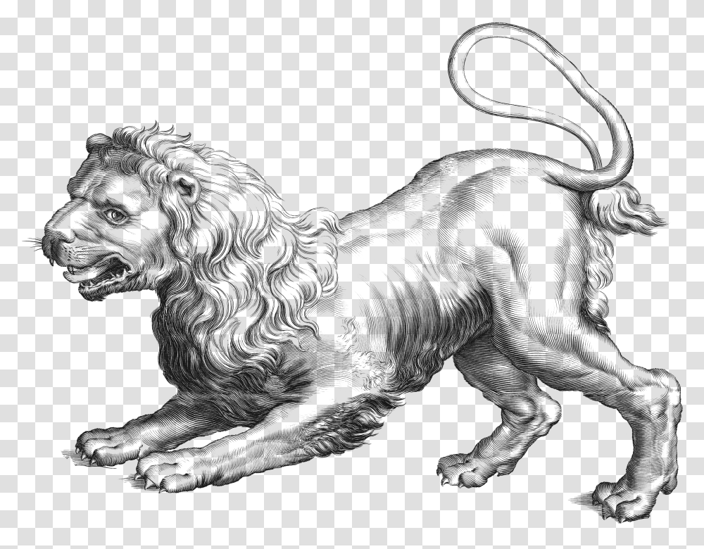 Leo Clipart Constellation Hevelius, Animal, Dinosaur, Reptile, Lion Transparent Png