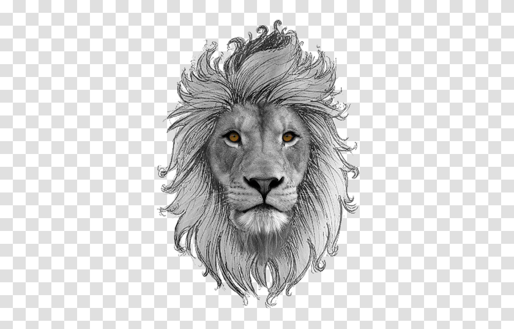 Leo, Zodiac, Drawing, Lion Transparent Png