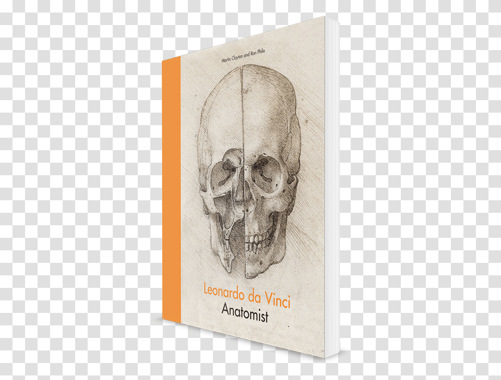 Leonardo Da Vinci Skull, Drawing, Sketch, Soil Transparent Png
