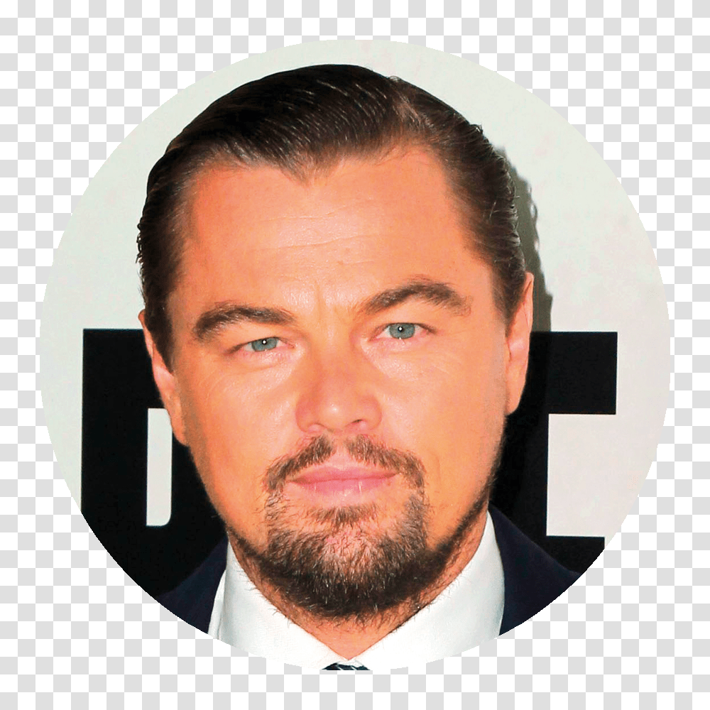 Leonardo Dicaprio, Celebrity, Face, Person, Human Transparent Png