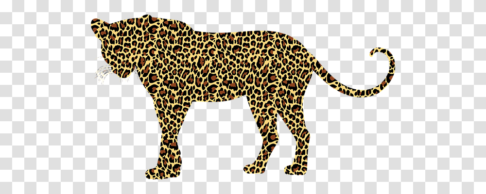 Leopard Cheetah, Wildlife, Mammal, Animal Transparent Png