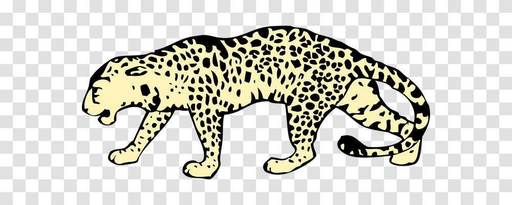Leopard Animals, Mammal, Cheetah, Wildlife Transparent Png