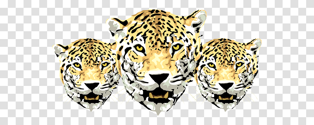 Leopard Nature, Mammal, Animal, Panther Transparent Png