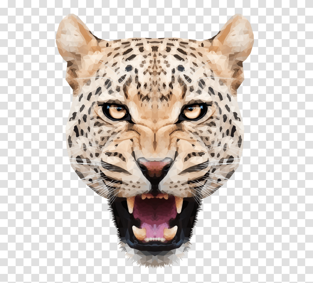 Leopard, Animals, Cheetah, Wildlife, Mammal Transparent Png