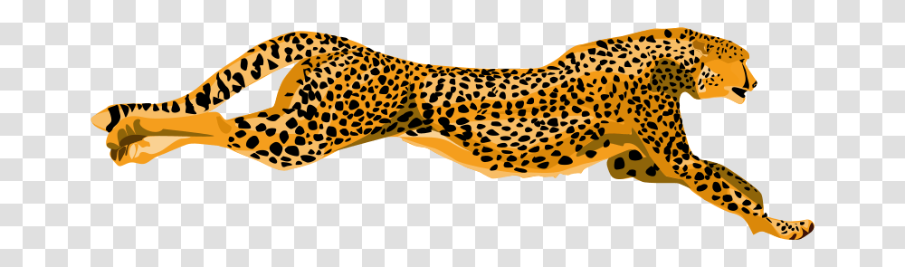 Leopard Cheetah, Animals, Panther, Wildlife, Mammal Transparent Png