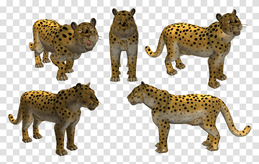 Leopard, Cheetah, Wildlife, Mammal, Animal Transparent Png