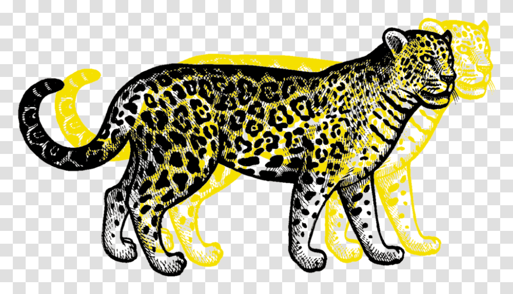 Leopard, Cheetah, Wildlife, Mammal, Animal Transparent Png