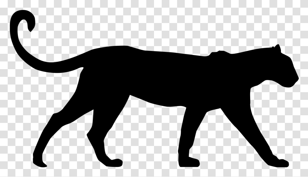 Leopard Clipart Silhouette, Gray, World Of Warcraft Transparent Png