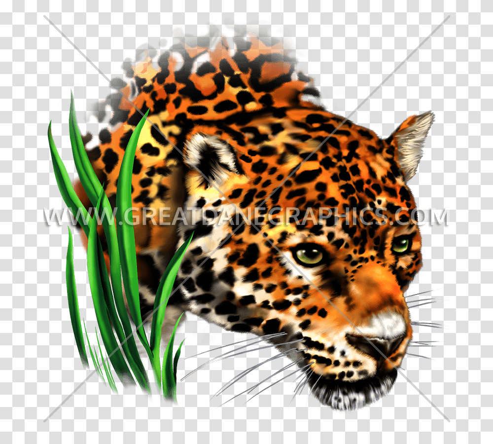 Leopard Football Cliparts Making Clip Art, Panther, Wildlife, Mammal, Animal Transparent Png